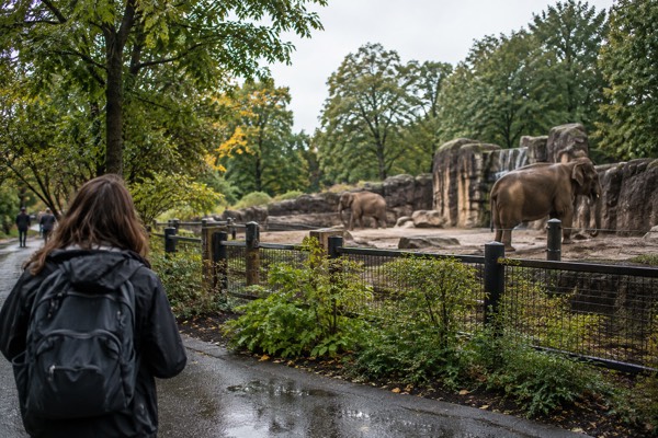 40+ Attractions City Pass