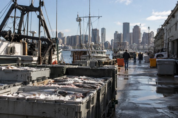 Seafood Tour, Historic Fish Pier, Boston