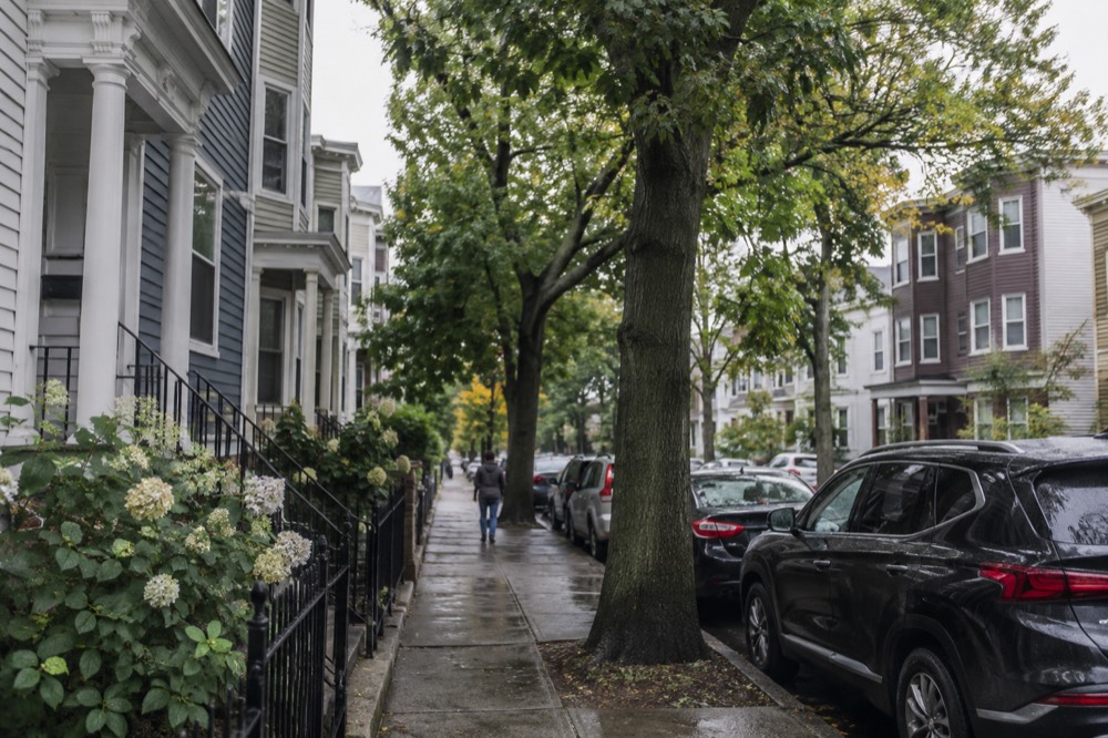 Rowhouses along a residential street in Dorchester, Boston, with trees and parked cars on a quiet afternoon