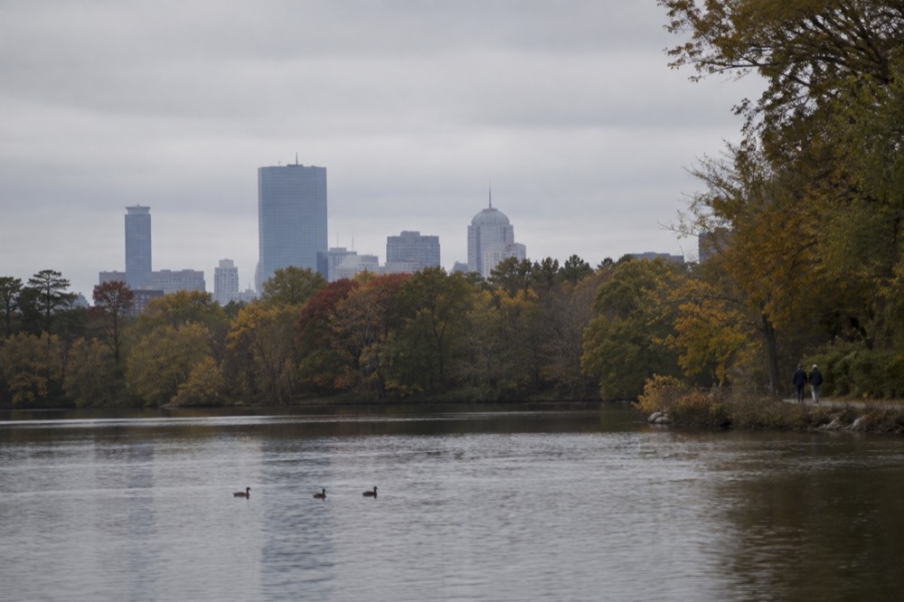 A pond surrounded by trees with a city skyline in the distance