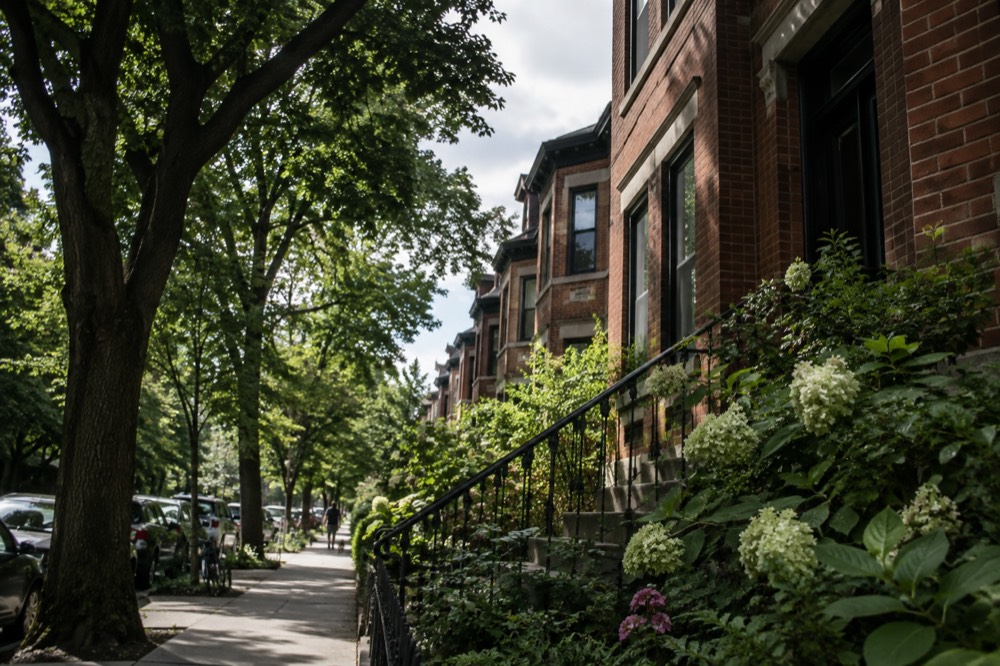 A tree-lined residential street with brick rowhouses and front gardens