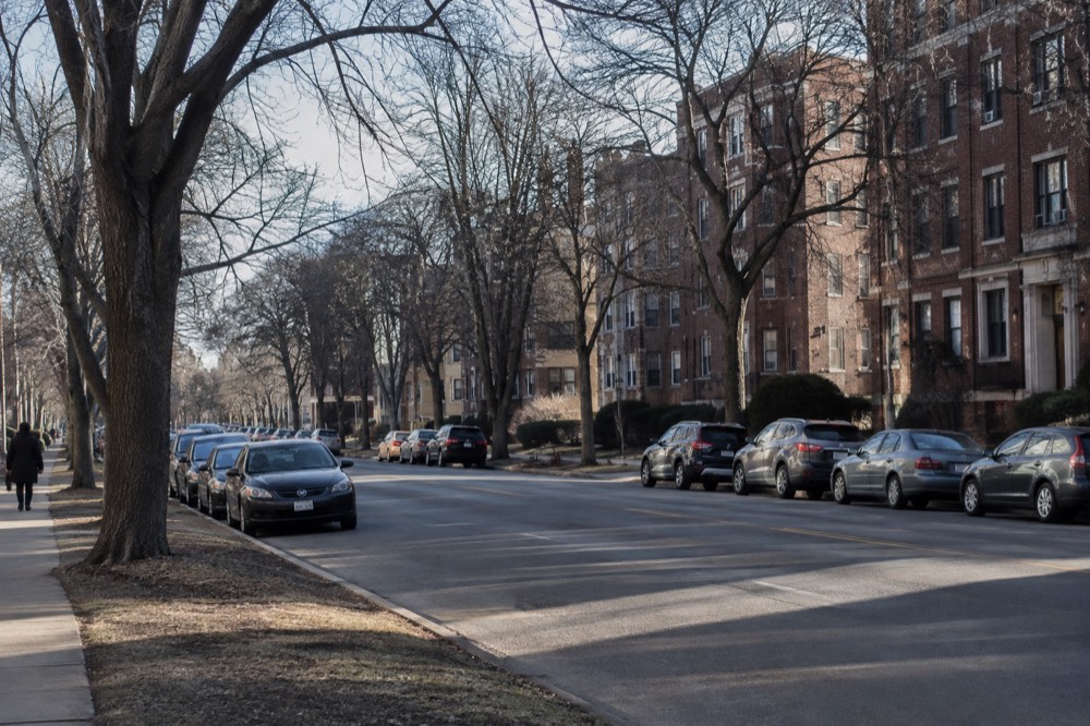 Trees along a wide boulevard with apartment buildings behind them