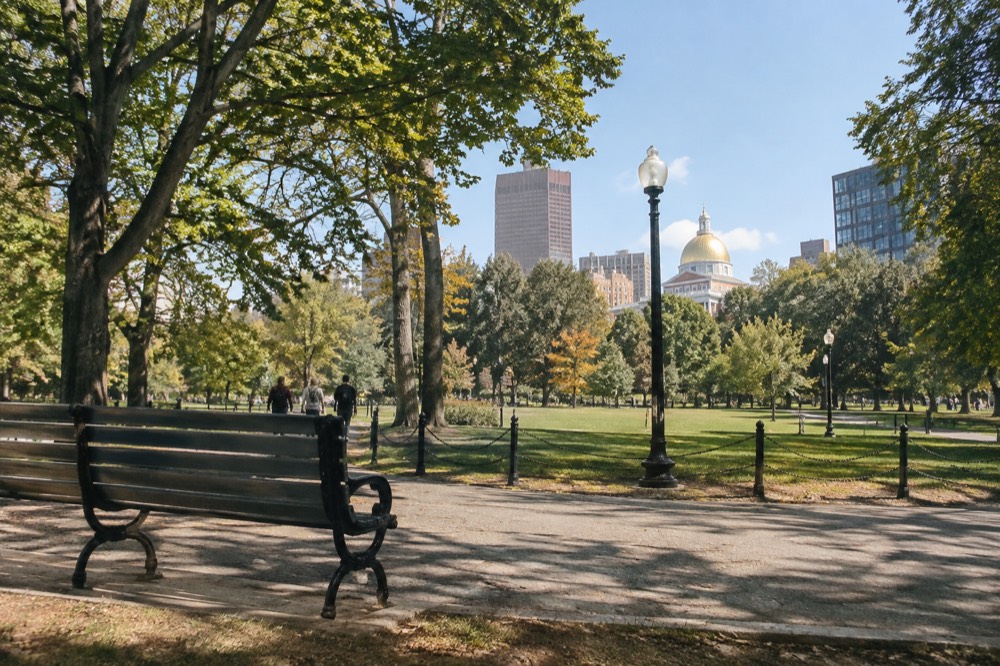 Gold dome of the Massachusetts State House above trees at the edge of the Boston Common