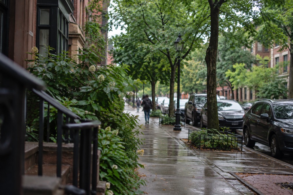 A tree-lined residential street in Brookline with brick apartment buildings and shops at street level