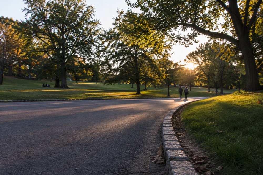 A carriage road curving through a park with lawns and large trees in late afternoon light