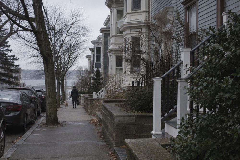 Rowhouses along a residential Dorchester street with mature trees and parked cars