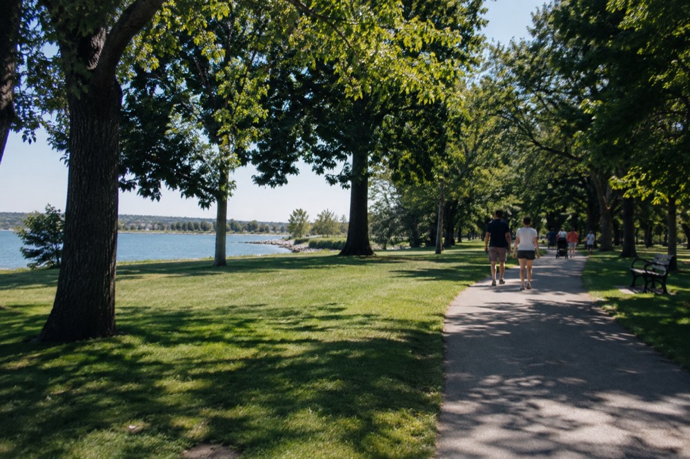 A park path with large trees and open grass on a summer morning
