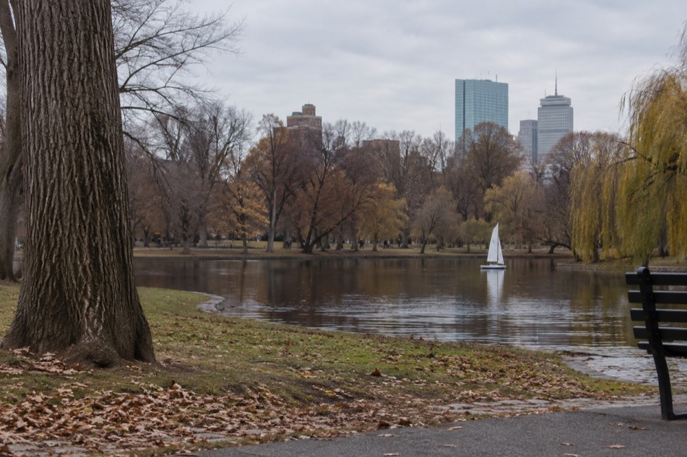 A small sailboat on a calm pond with city rooftops visible beyond the trees