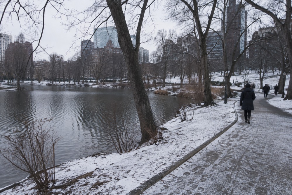 A pond path dusted with snow and bare trees along the shoreline