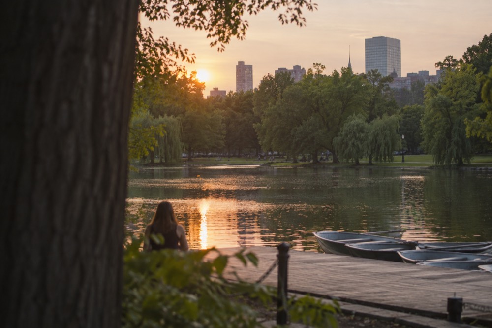 A pond shoreline at sunset with rowboats pulled up on a wooden dock