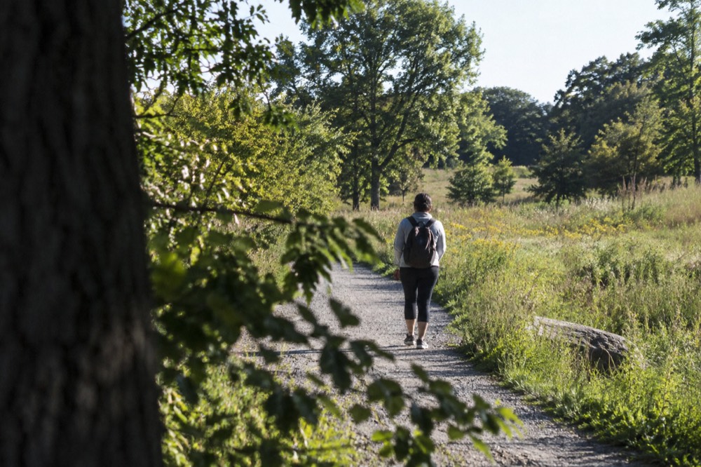 A path through woods and open meadow in a large park