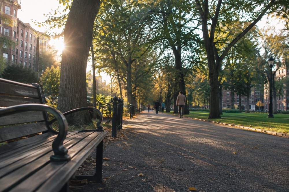 A wide tree-lined path through a linear park with brick buildings beyond
