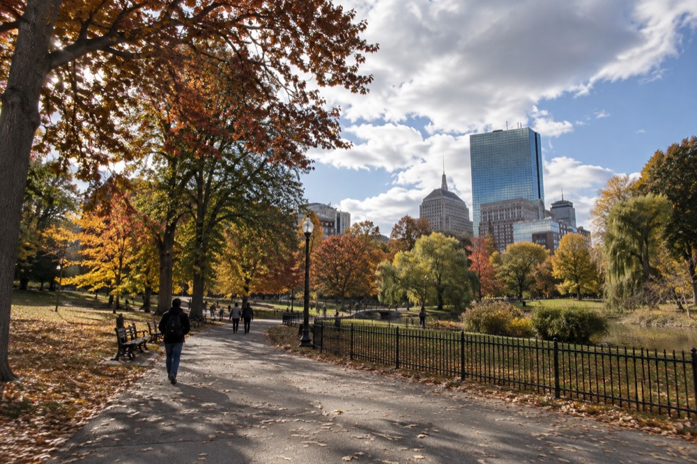 Autumn leaves along a Boston Common path with city buildings behind