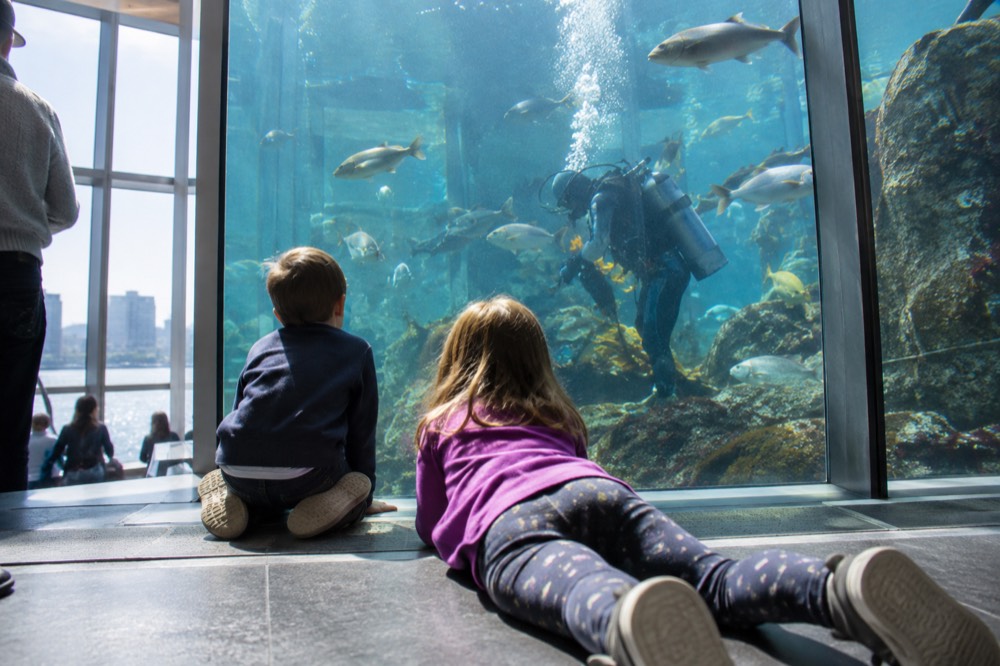 Children watching a large aquarium tank full of fish and a diver inside a bright hall