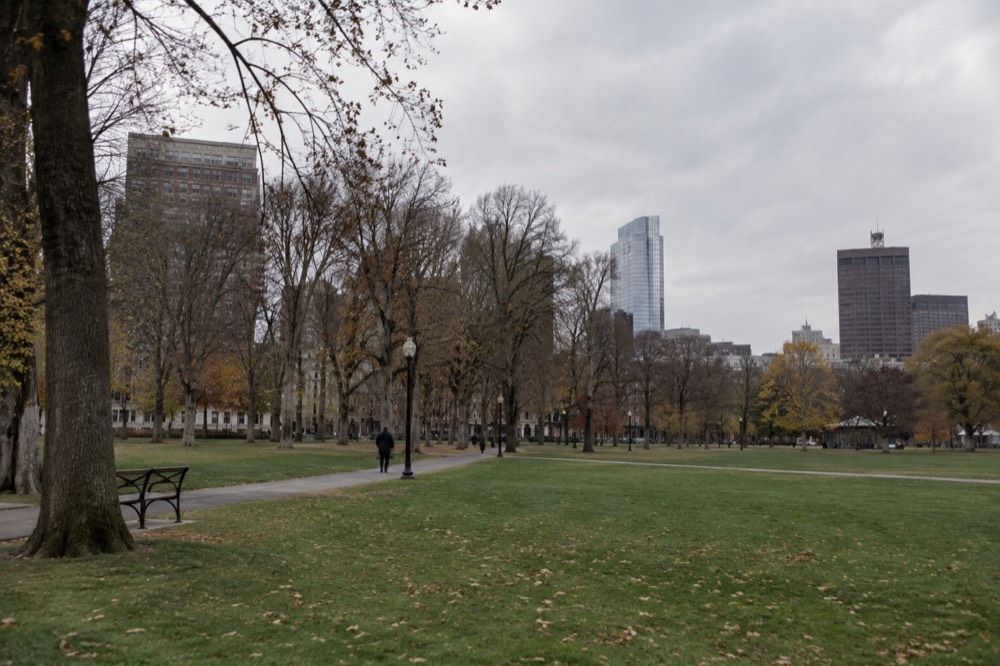 Wide green lawn of Boston Common with tree-lined paths and city buildings behind the trees