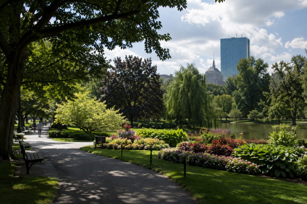 Formal flower beds and a winding path in the Public Garden in bright sunlight