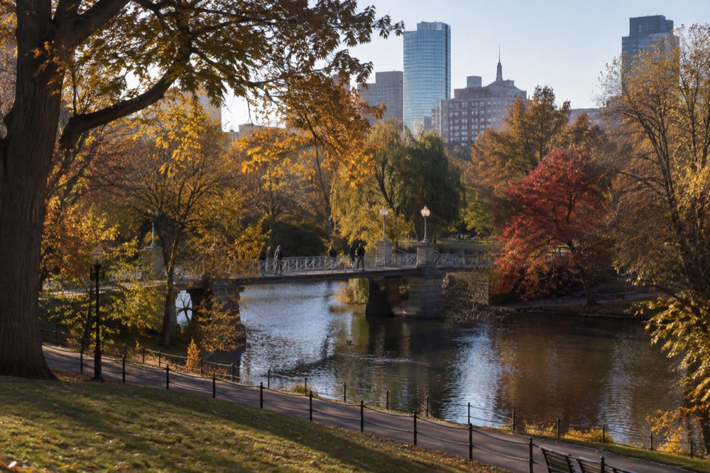 Small footbridge arching over a calm lagoon surrounded by trees in fall color
