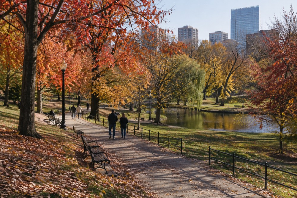Trees with red and orange autumn leaves lining a park pathway with benches