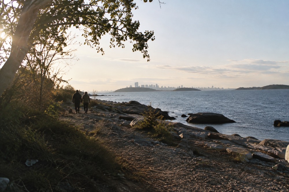 Wooded trails and a shoreline path on Peddocks Island in Boston Harbor