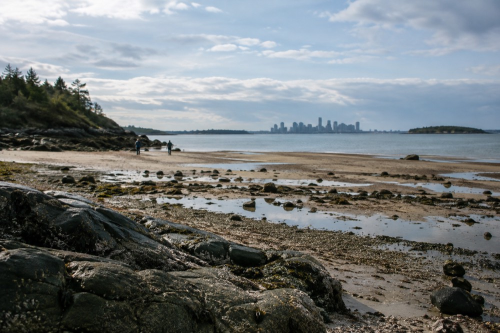 A wide harbor beach at low tide with exposed sand and distant city towers