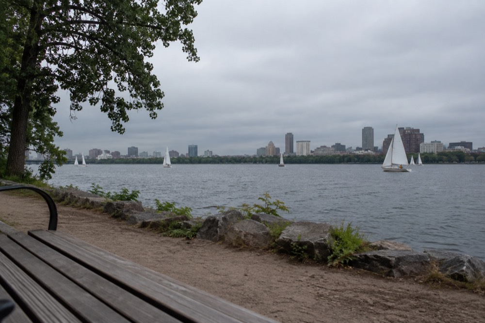 Sailboats on the Charles River basin in summer with the Cambridge skyline beyond