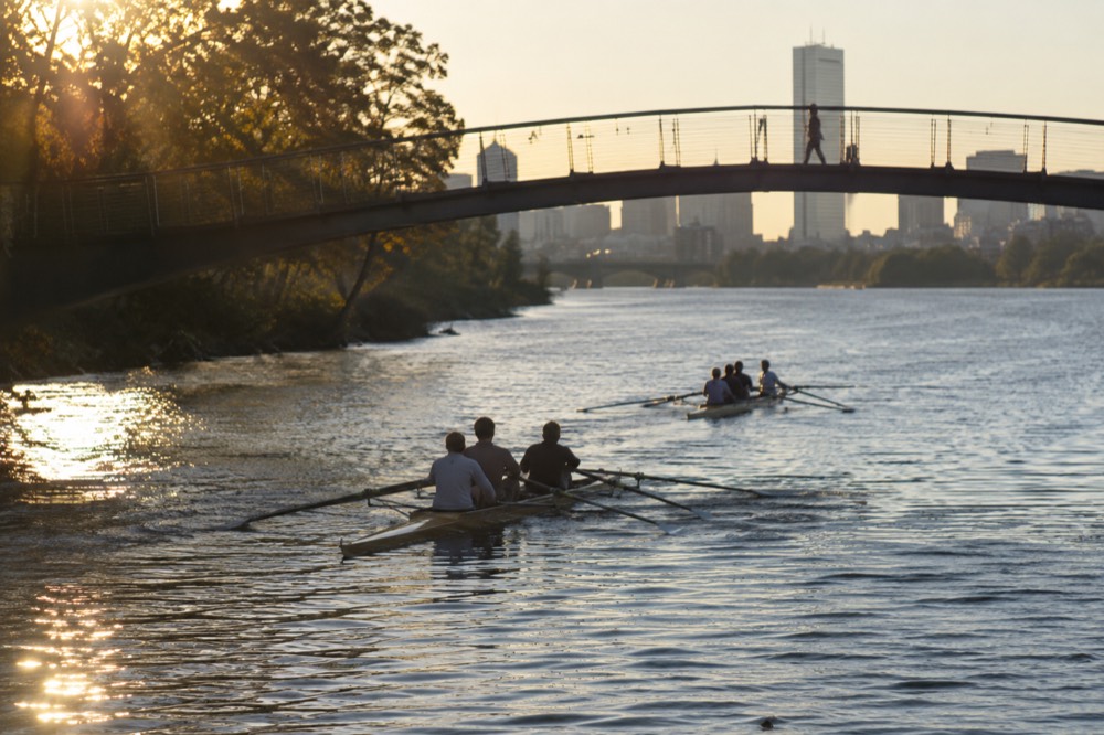 Rowers on the Charles River passing under a footbridge in early morning light