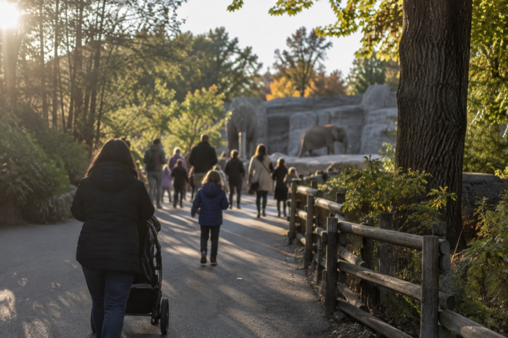 A wide tree-lined path inside a city zoo with visitors walking toward distant animal exhibits