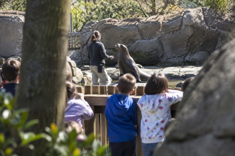 Children watching a zookeeper talk beside an animal exhibit fence