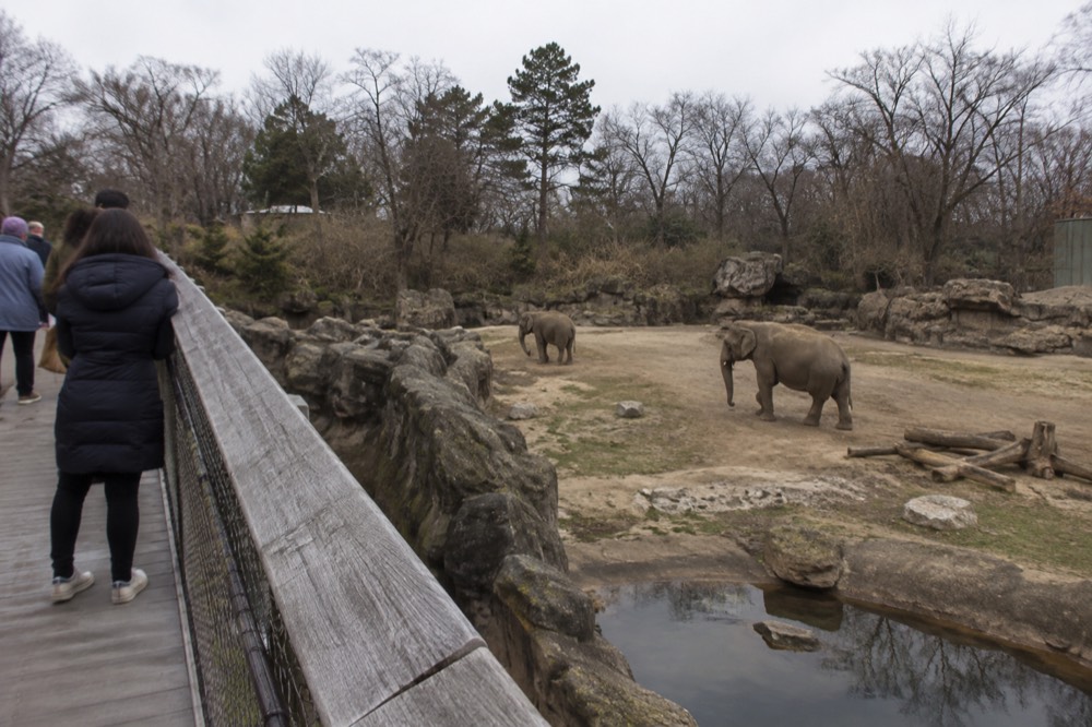 Zoo visitors on a footbridge overlooking a large outdoor animal habitat