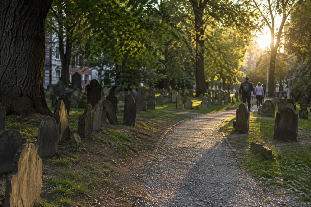 A tree-shaded gravel path curving between dense rows of slate slabs in Boston
