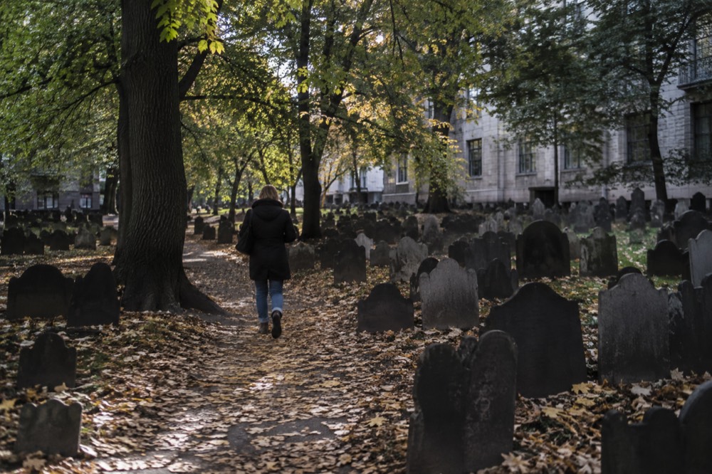 Sunlight falling through tree canopy onto rows of old slate slabs in a Boston burying ground