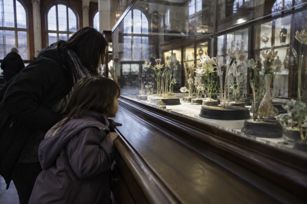 A child and parent leaning close to a glass display case of glass plant models in a gallery