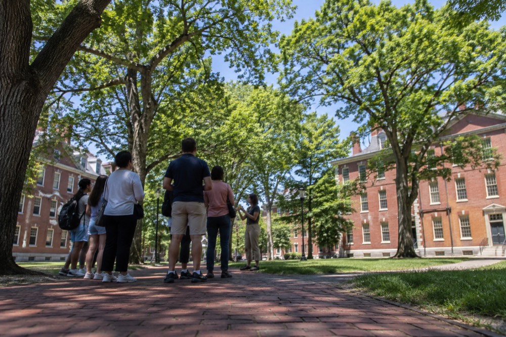 A tour guide speaking to a small group of visitors on a brick path beneath old elm trees