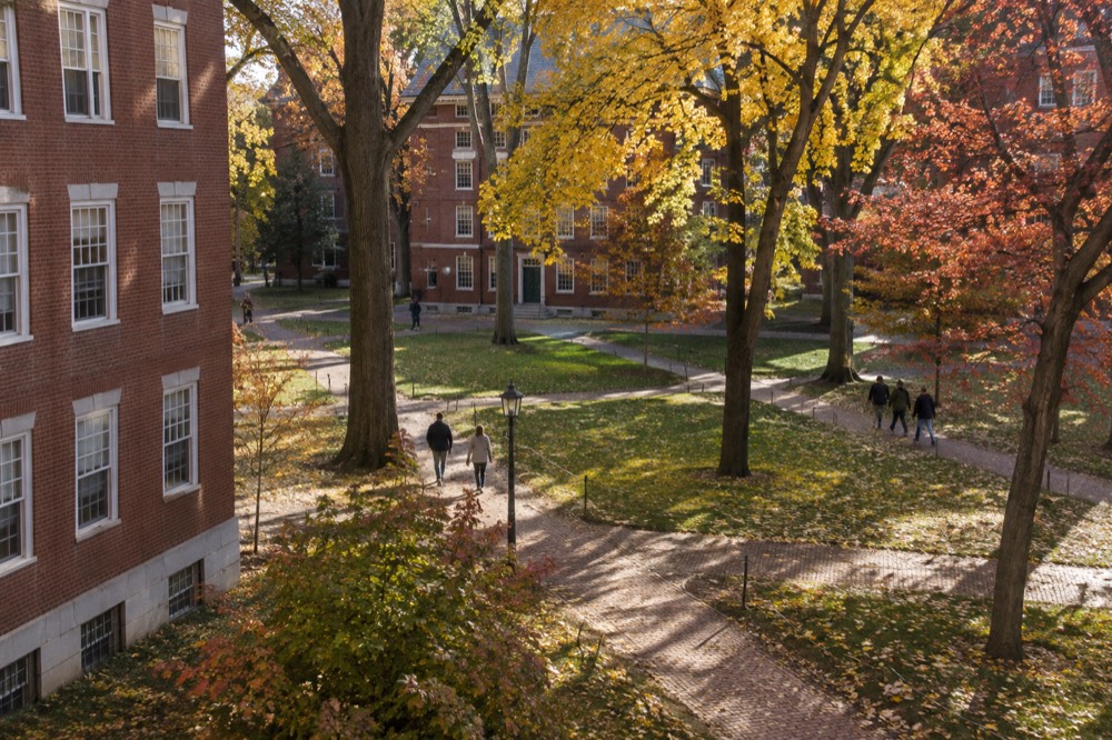 Golden autumn light on brick walkways and falling leaves around old campus buildings