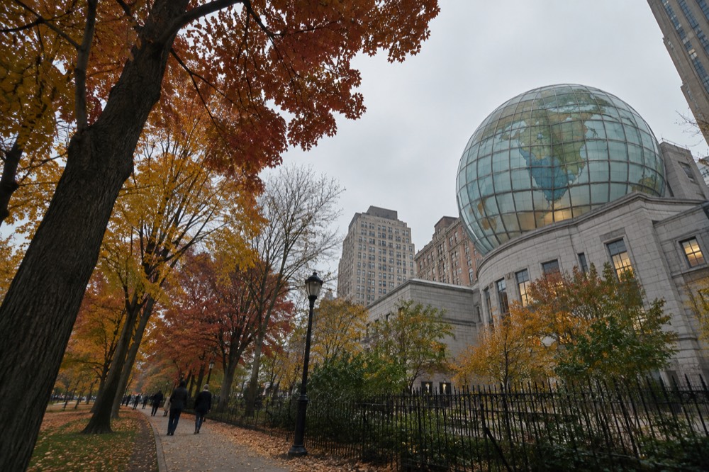 Trees along a Boston park pathway in autumn color beside a city street