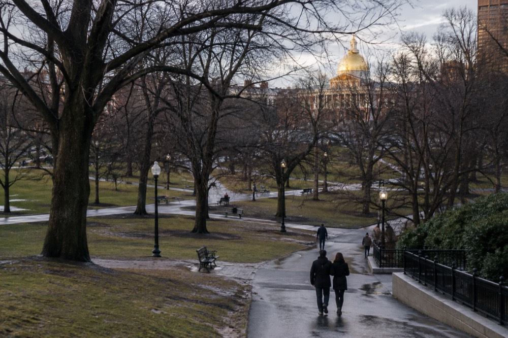 The State House dome seen above bare winter trees on Boston Common