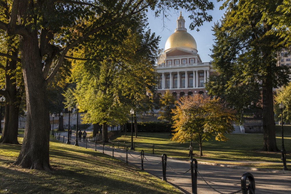 The State House facade framed by trees at the edge of Boston Common