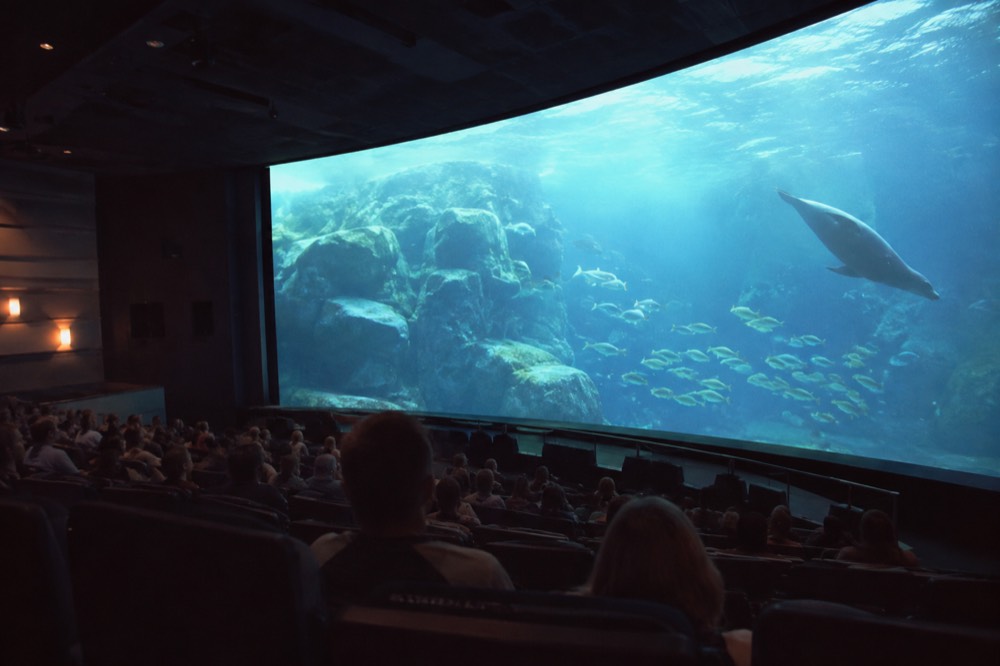A large-screen theater auditorium with rows of seats facing a tall curved screen