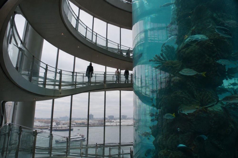 A spiral walkway wrapping around a tall cylindrical aquarium tank seen from below