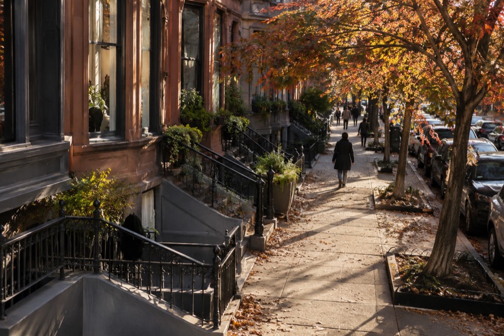 Autumn leaves on street trees above a brick row of shops