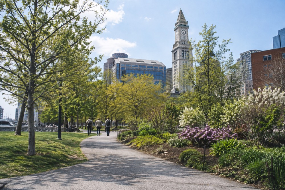 A park path with flowering garden beds and the Custom House tower rising beyond the trees