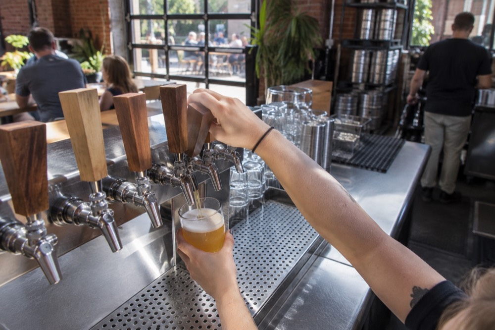 Fresh beer being poured into a tasting glass at a brewery taproom counter