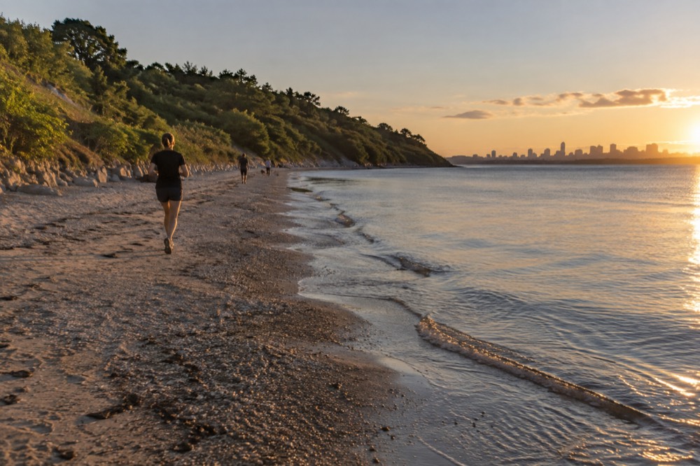 A crescent of sandy beach with calm water and a wooded slope behind it