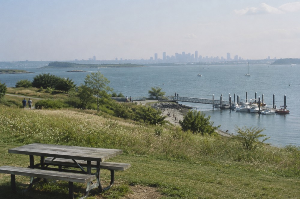 A picnic table and open grassy slope near a pier with moored small boats