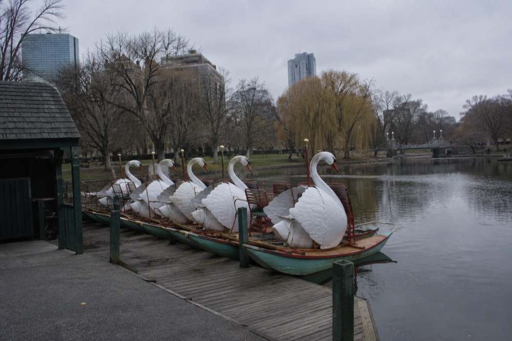 The empty wooden Swan Boat dock on the Public Garden lagoon with the boats stored for the season
