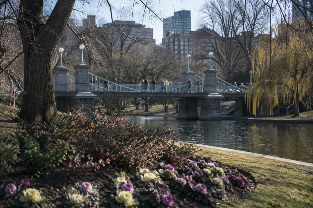 The iron suspension footbridge over the Public Garden lagoon with flower beds in the foreground