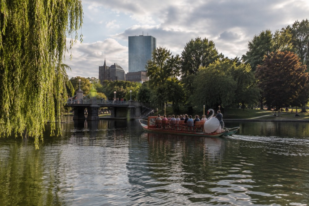 A swan boat crossing the lagoon in late afternoon light with the suspension bridge behind