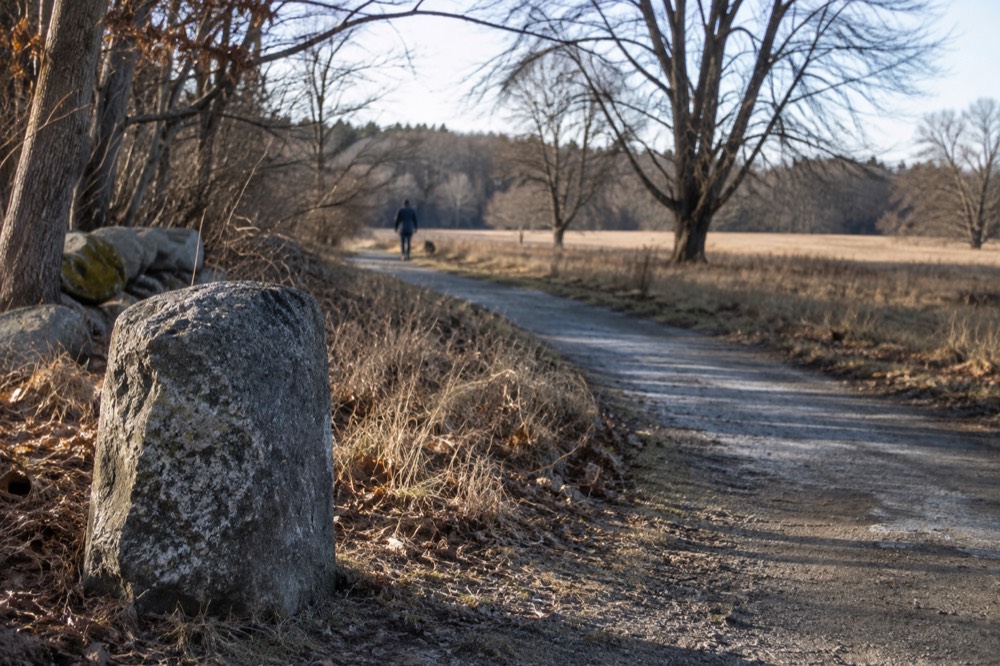 A stone marker beside a walking trail through open fields and trees