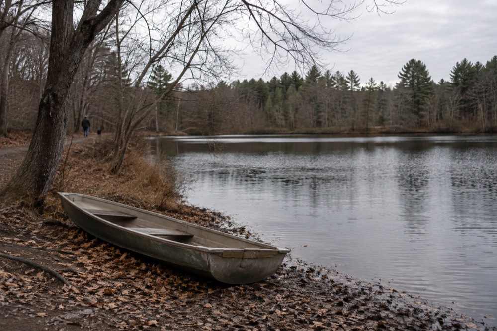 A rowboat resting on a pond shore with woods beyond