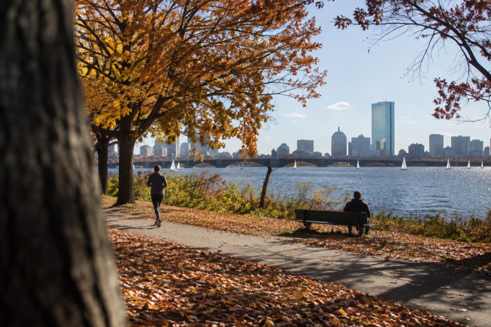 Autumn leaves on the Charles River Esplanade with the Boston skyline behind